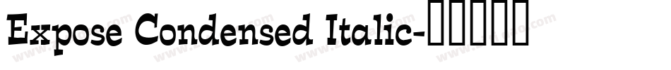 Expose Condensed Italic字体转换